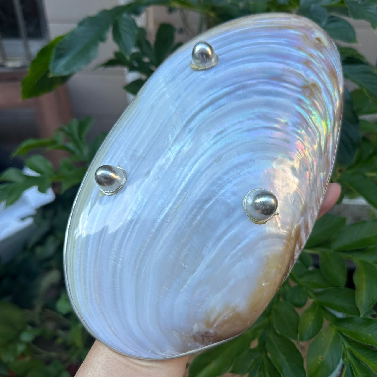 Handmade Natural Big Pearl Shell Plate with Inlay